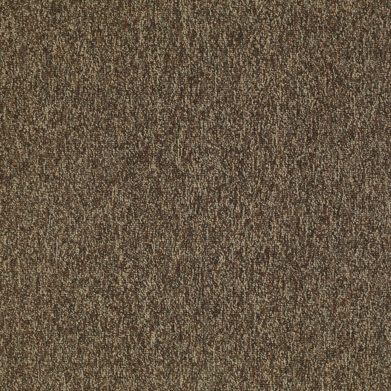 New Trade Exuberance Nylon Carpet - Textured