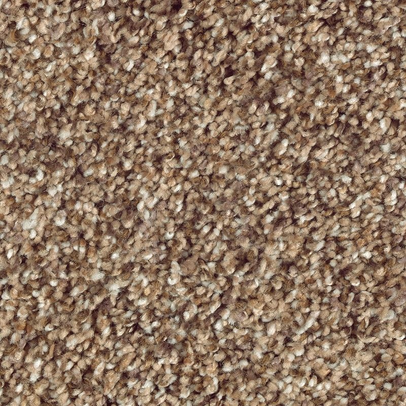 Nature's Luxury I Worn Leather Triexta Carpet - Textured