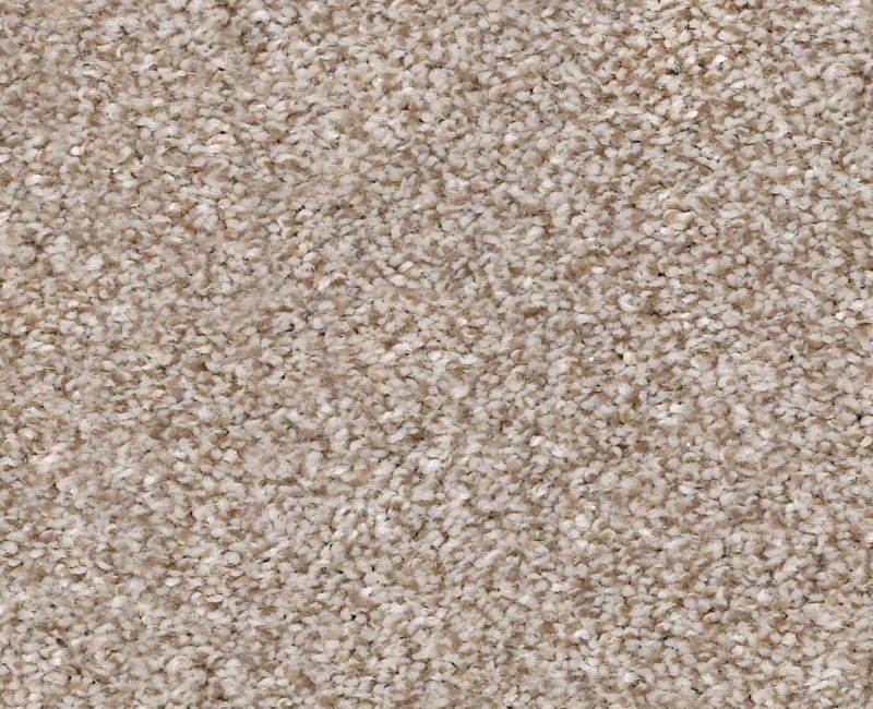 Just Right Ii Grecian Tan Polyester Carpet - Textured