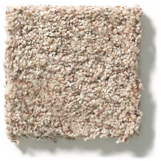 Carmel Coast Echo Nylon Carpet - Textured