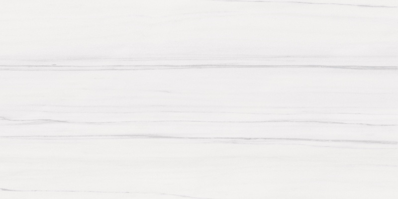 Bianco Dolomite White Porcelain Tile - Matte - 24" X 48"