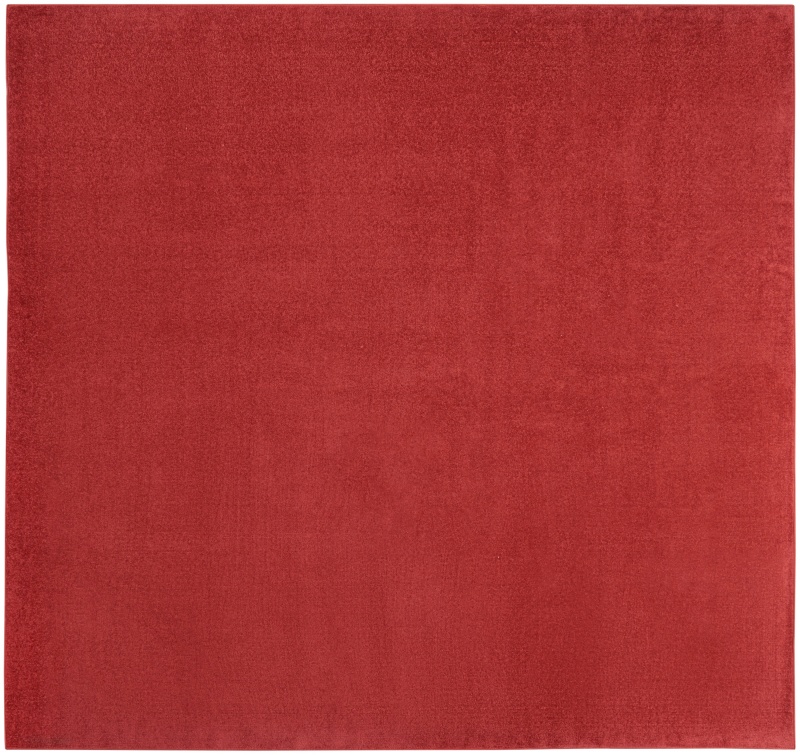 Brick Red Polypropylene Outdoor Area Rug, 9 Ft x 9 Ft
