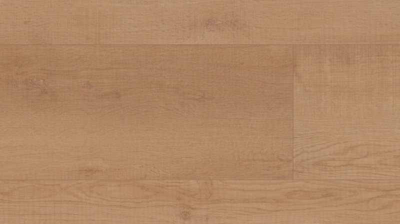 Coretec Plus XL Enhanced Waddington Oak Luxury Vinyl Plank Flooring