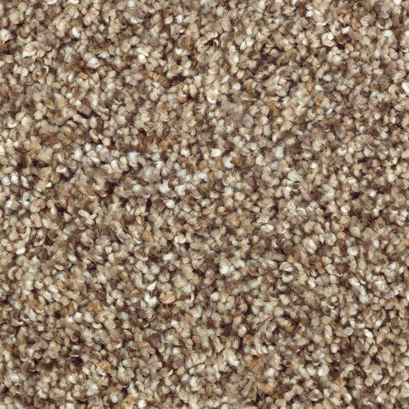 Nature's Luxury I Cobble Path Triexta Carpet - Textured