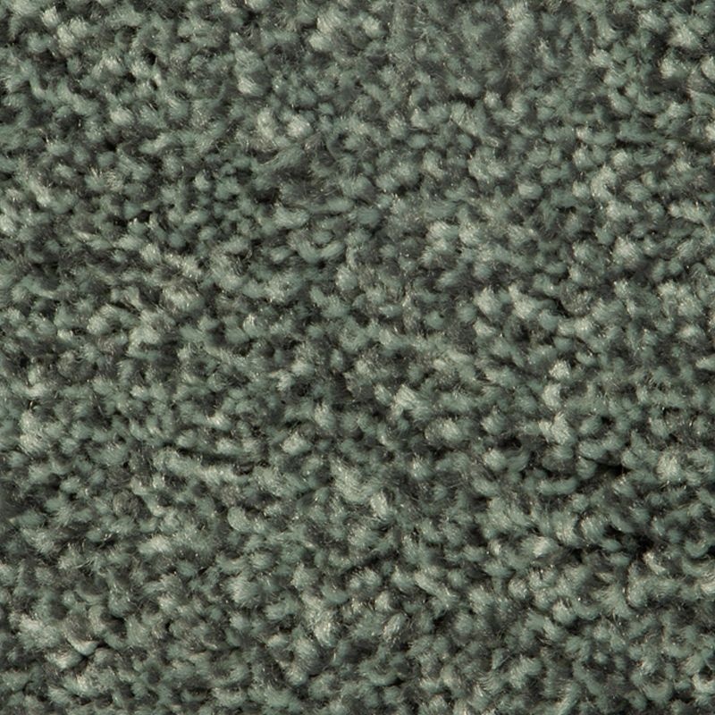 Distinct Beauty I Paradise Polyester Carpet - Textured