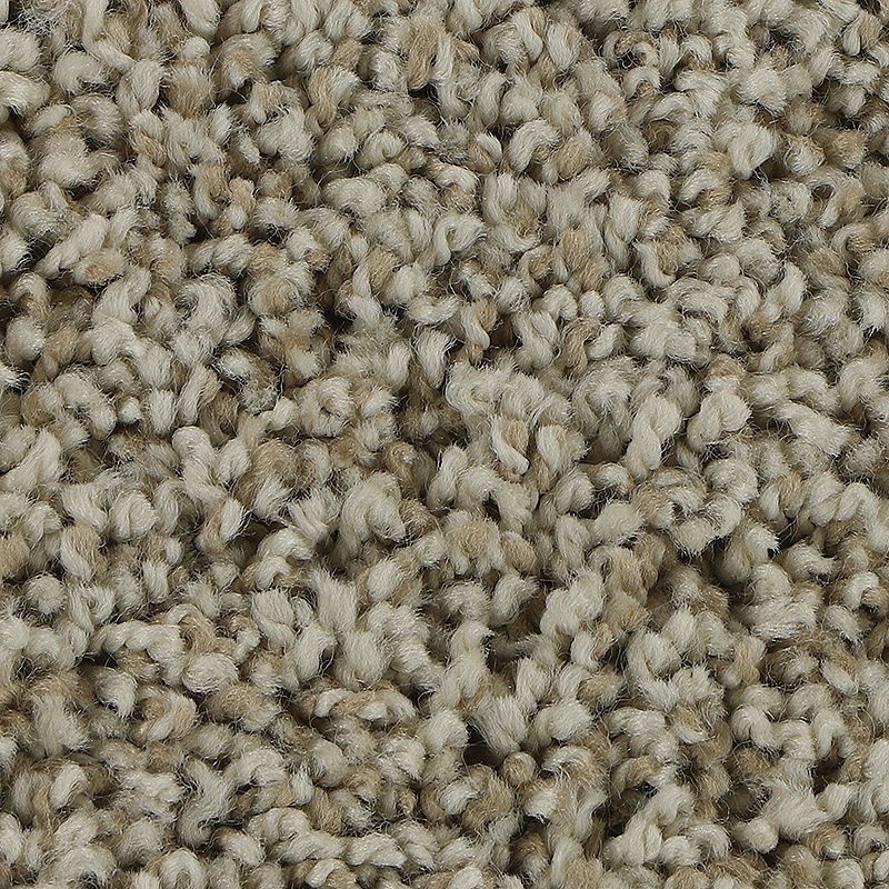 Soft Aspect Fine Vellum Polyester Carpet - Textured