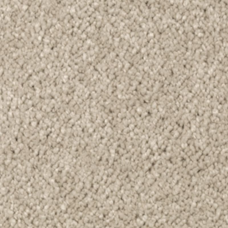 Natural Splendor I Sand Dollar Triexta Carpet - Textured