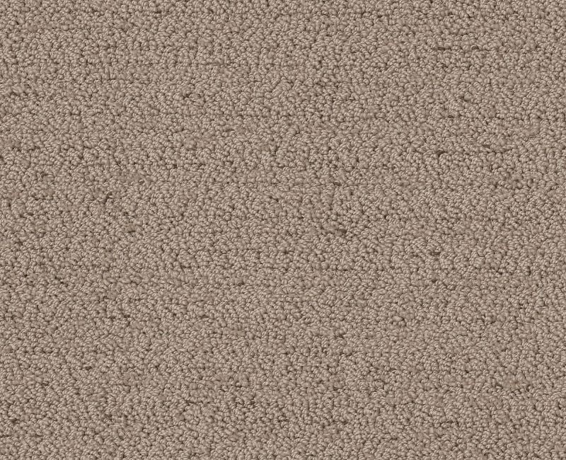 Without A Trace Cameo Textured Polyester Carpet