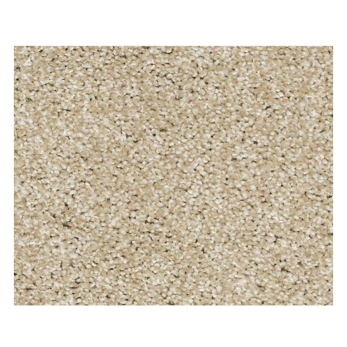 Striking Field Stone Nylon Carpet - Textured