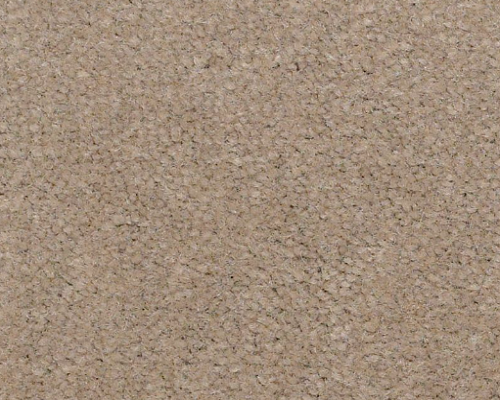 Emphatic Ii 36 Timeless Nylon Carpet - Textured
