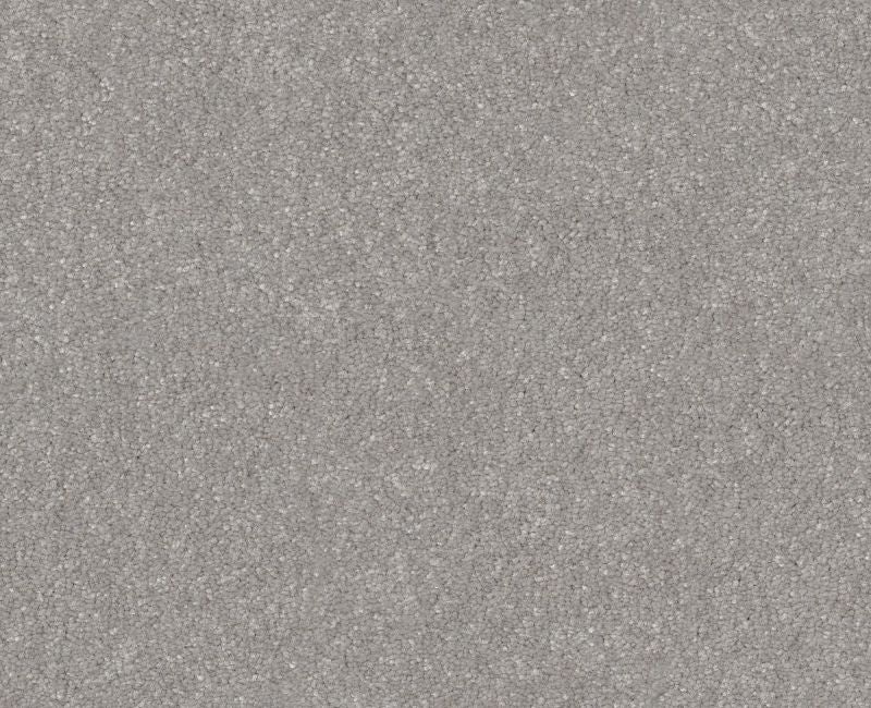Off The Leash I 12 Rock Crystal Polyester Carpet - Loop