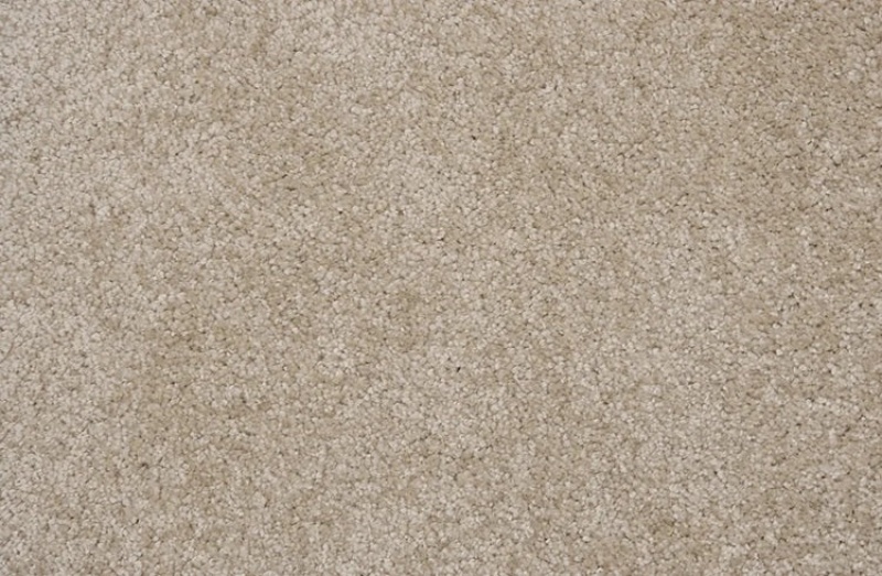 Pet Guard Henry Shell Solution Dyed Polyes Carpet - Plush