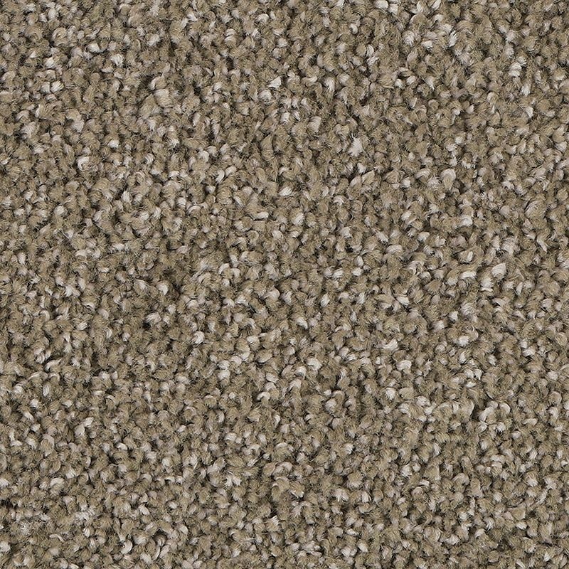 Delicate Tones I Mission Triexta Carpet - Textured