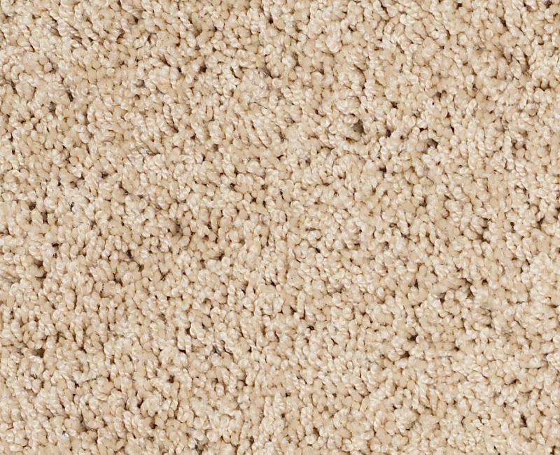 My Style 3 Mesa Nylon Carpet - Textured