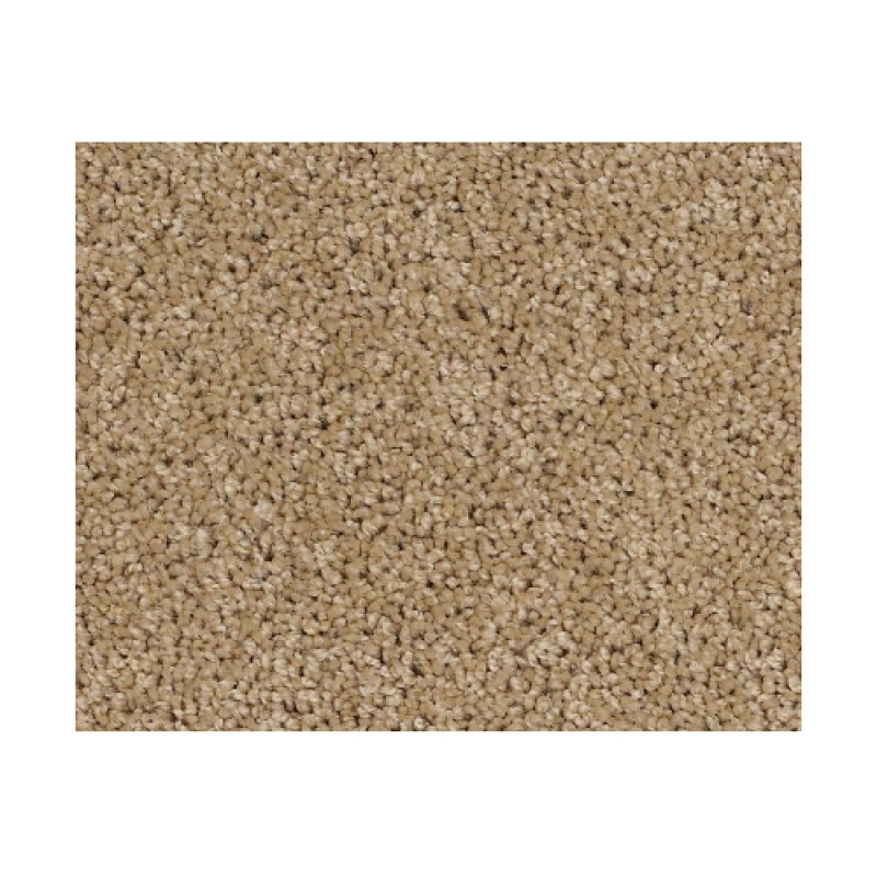 Dawning Natural Wood Nylon Carpet - Textured