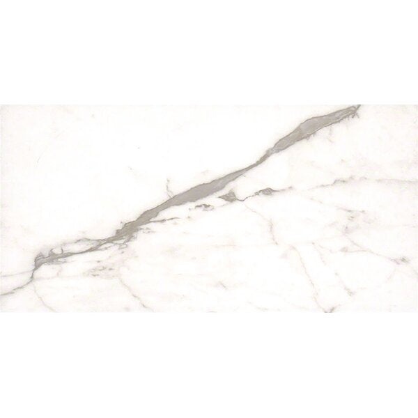 Essentials White Vena Ceramic Tile - Matte - 12" X 24"