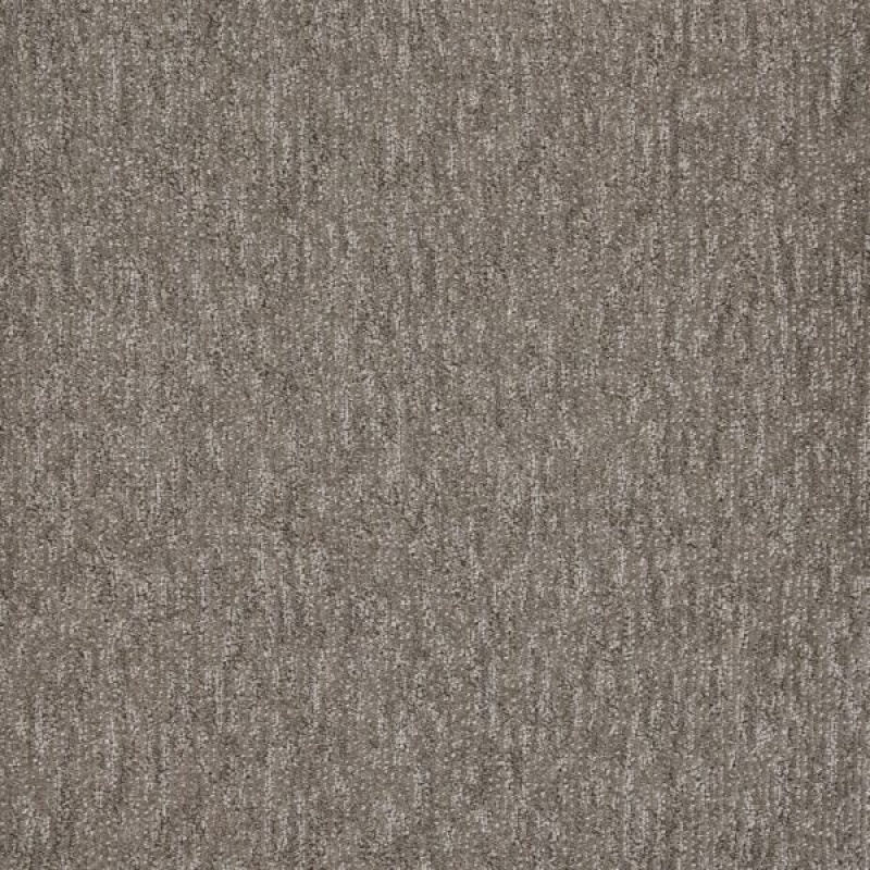 Natural Terrain Decor Polypropylene Carpet - Textured