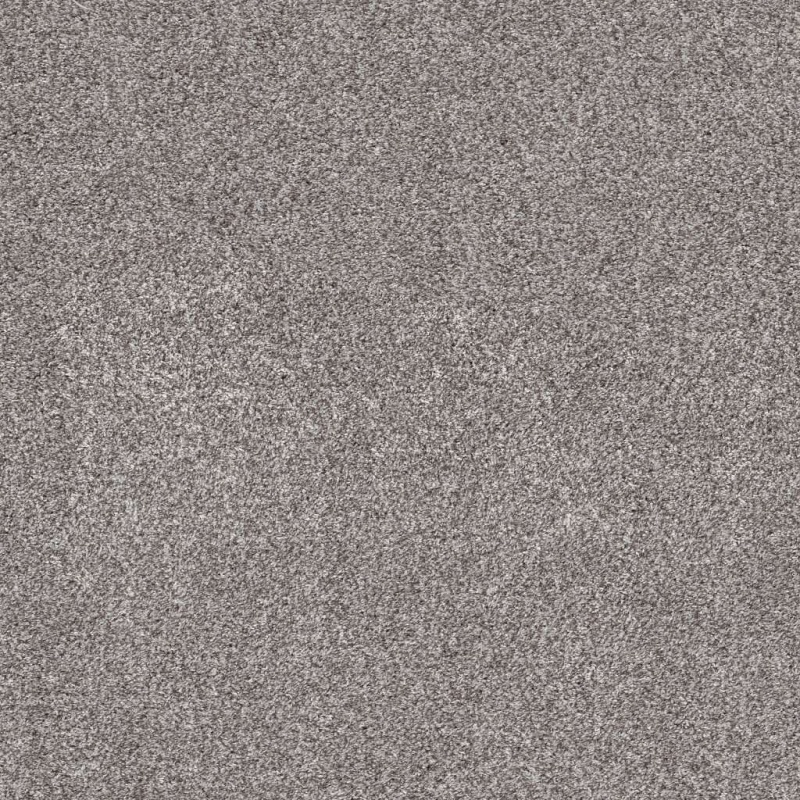 Pet Perfect Plus Calm Simplicity I English Streets Polyester Carpet - Textured