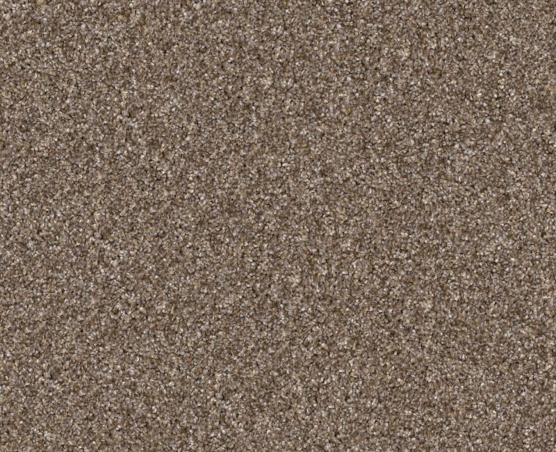 Bending The Rules I 15 Honeycomb Polyester Carpet - Textured