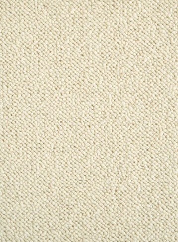 Natural Wonders Everglades Ivory Wool Carpet - Textured