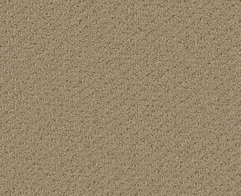 Meaningful Design Fieldstone Nylon Carpet - Loop