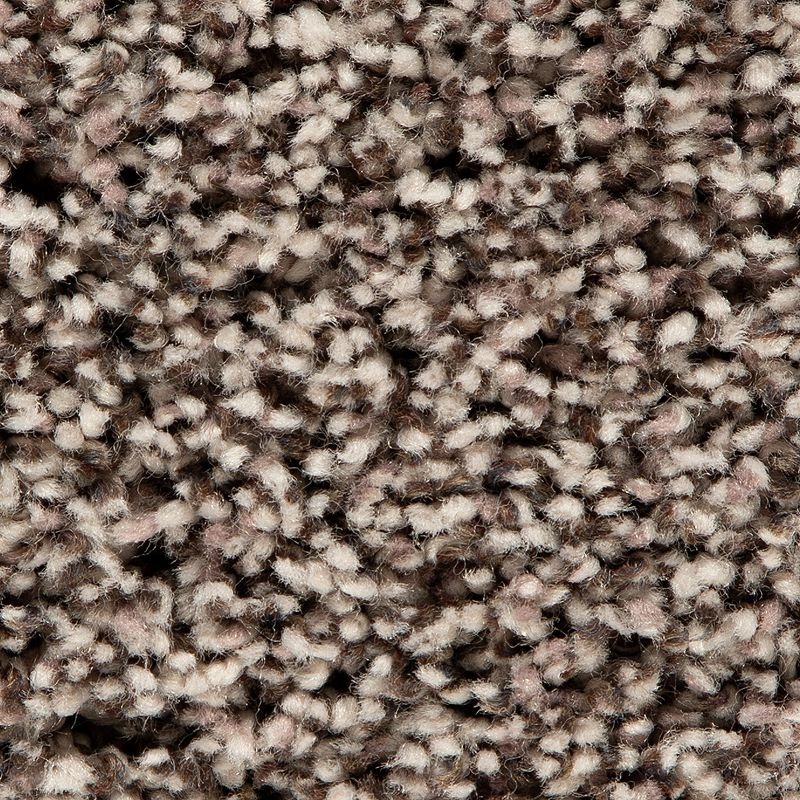 Soft Accolade Ii Twill Polyester Carpet - Textured