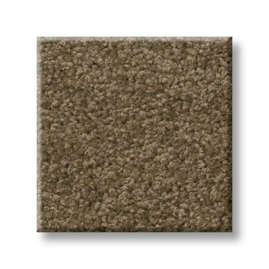Serendipity I Vicuna Nylon Carpet - Textured