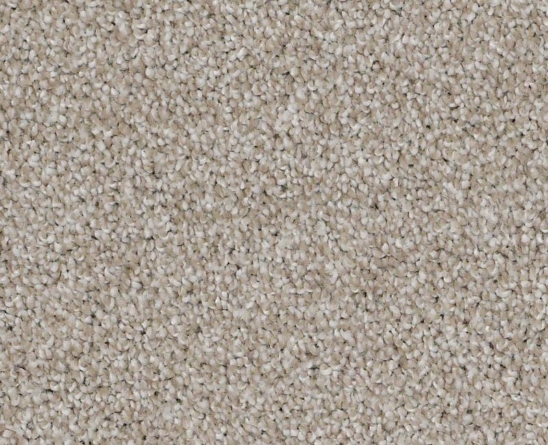 Always On Time Studio Taupe Nylon Carpet - Textured