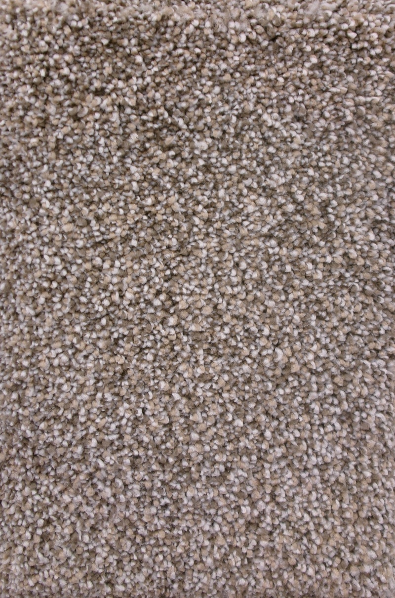 Florence Lookout Polyester Carpet - Textured
