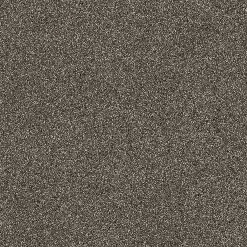 Anso Open Ii (S) Bear Mountain Nylon Carpet - Textured