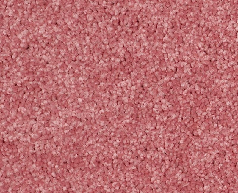 Nantucket Summer 15' Sassy Pink Polyester Carpet - Textured