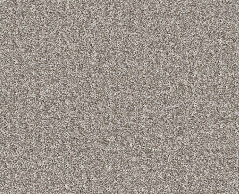 Passing By Split Sediment Polyester Carpet - Textured
