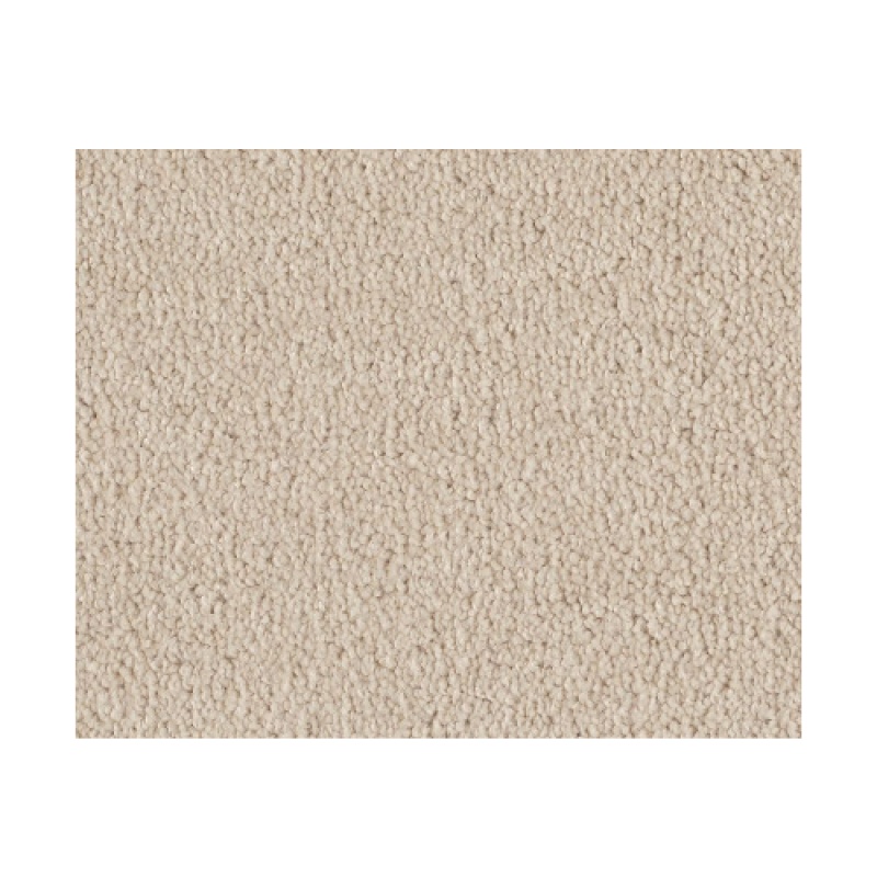 Bright Spirit I 12 Mushroom Nylon Carpet - Textured