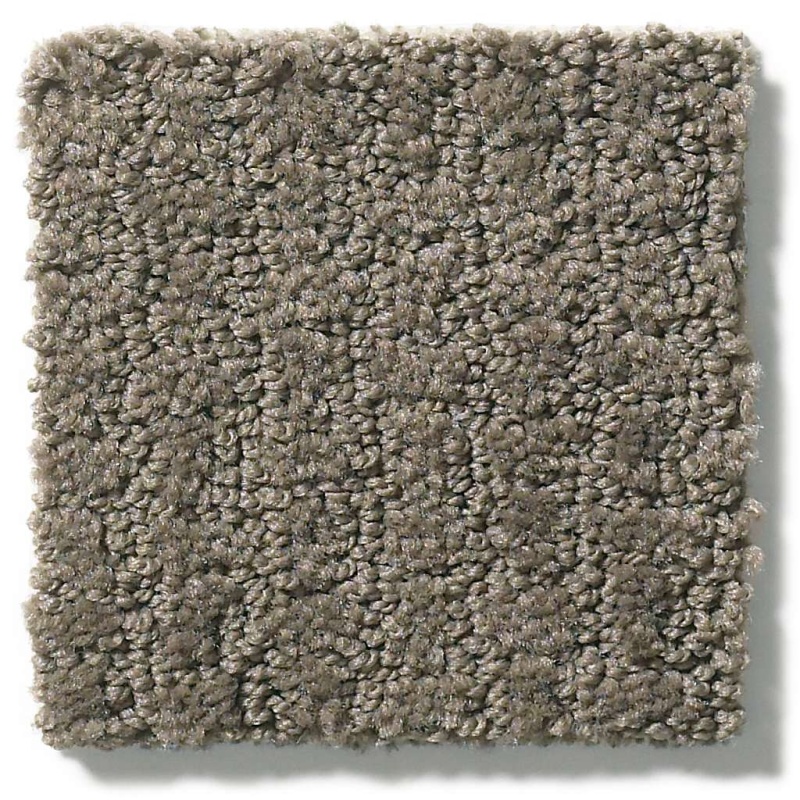 Foundations Complete Control Front Gate Nylon Carpet - Pattern