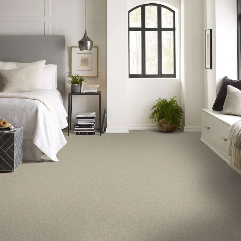 Soft Shades My Choice Iii French Linen Nylon Carpet - Textured