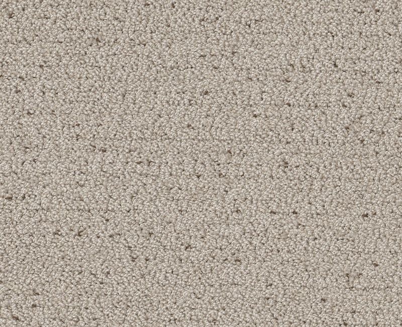 Without A Trace River Birch Polyester Carpet - Textured