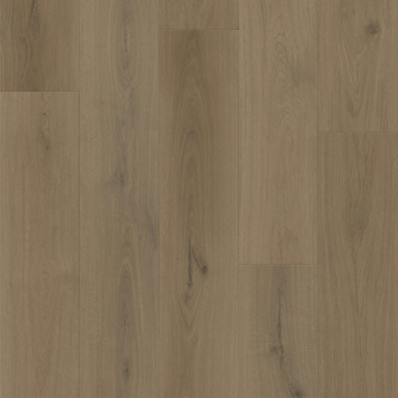 Boundless 8 Forest Flexible Luxury Vinyl Plank Flooring