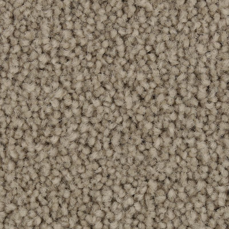 Coastal Fashion I Bliss Nylon Carpet - Textured
