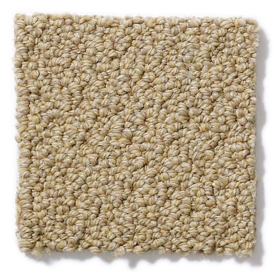 Pet Perfect On Point Gilt Nylon Carpet - Loop