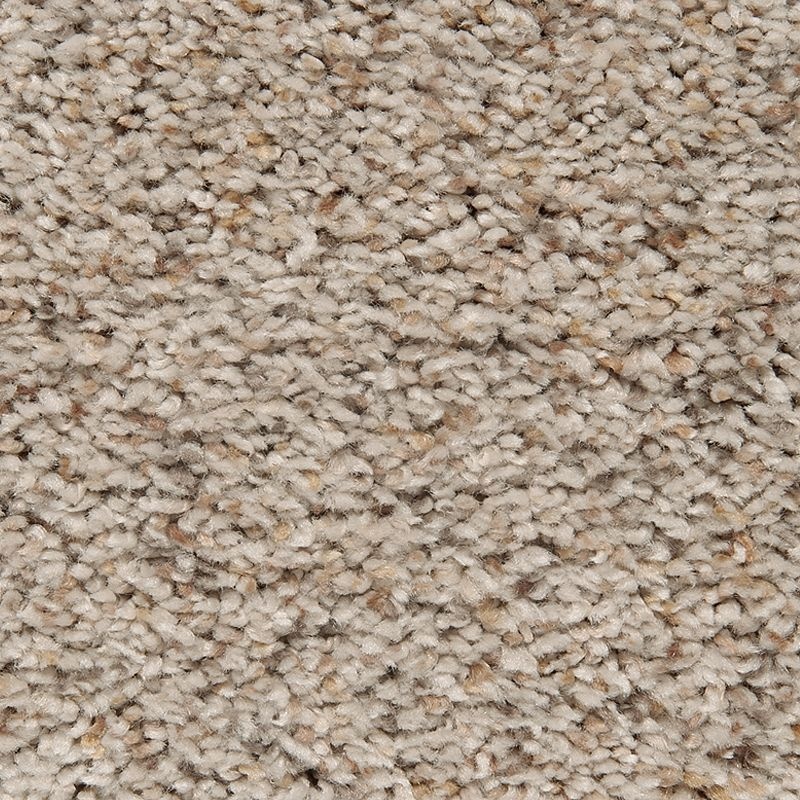 Serene Harmony Shaded Earth Triexta Carpet - Textured
