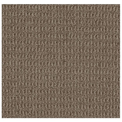 Crystal Cove Timber Wolf Nylon Carpet - Pattern