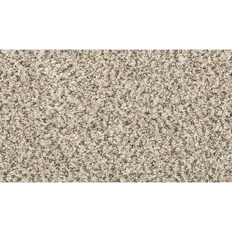 Vitalize I Silver Dollar Polyester Carpet - Textured