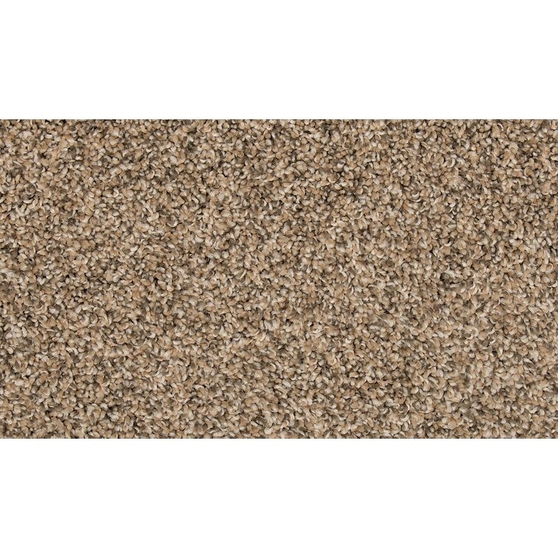Renovate Iii Flax Seed Polyester Carpet - Textured