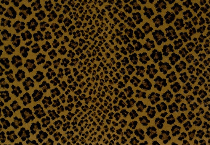 Royal Pavilion Linus Stout Polypropylene Carpet - Pattern