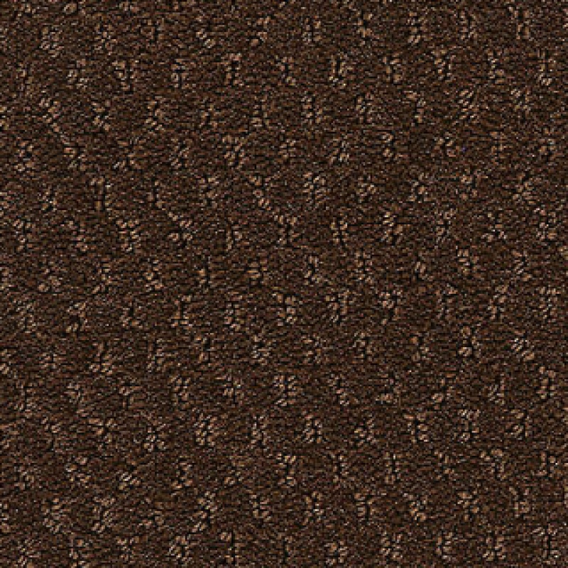 Influencer Classic Update Chocolate Latte Nylon Carpet - Loop