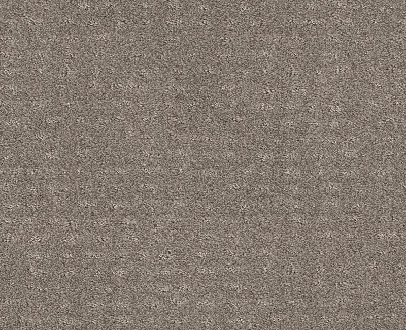 Latest Thing River Run Nylon Carpet - Loop