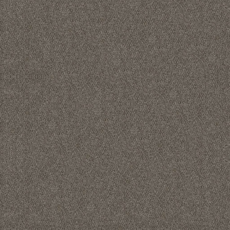 Simply The Best Boundless I Slate Stone Polyester Carpet - Textured