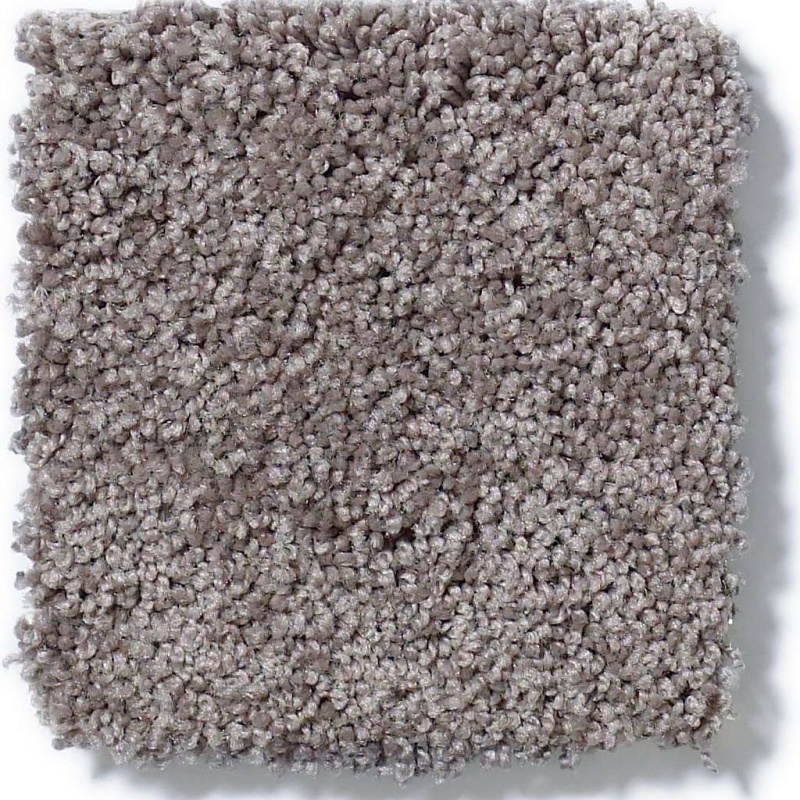 Soft Shades My Choice I Sepia Nylon Carpet - Textured