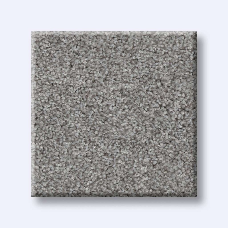 Foundations Harmonious Iii Sentimental Nylon Carpet - Textured