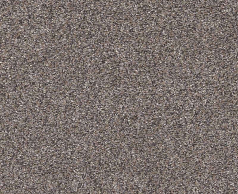 Go All Out Burnt Ash Polyester Carpet - Textured